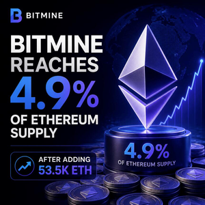 비트마인 이더리움 보유량 590만 ETH|기업의 ETH 대량 매집이 의미하는 것 5 비트마인 4.9% 53500 이더리움 로고 이미지